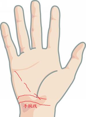 手颈线图解:手相手颈线