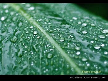 做梦梦见漏雨是好是坏 做梦梦见漏雨是好是坏