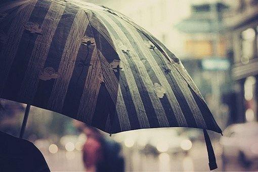 梦见杀猪有什么寓意 梦见杀猪有什么寓意