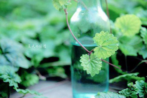 梦见腿骨折有什么寓意 梦见腿骨折有什么寓意