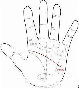 什么样的手相会有叛逆的人格