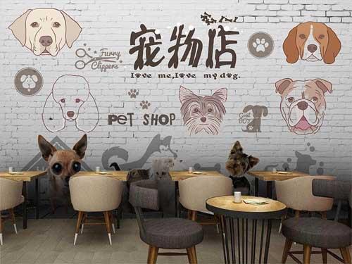 有创意的宠物店名字大全 有创意的宠物店名字大全