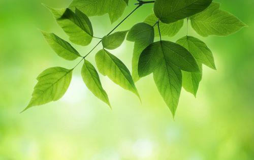好听的环保公司起名_创意环保公司起名大全 好听的环保公司起名_创意环保公司起名大全