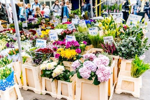 好听独特的鲜花店名字大全 好听独特的鲜花店名字大全