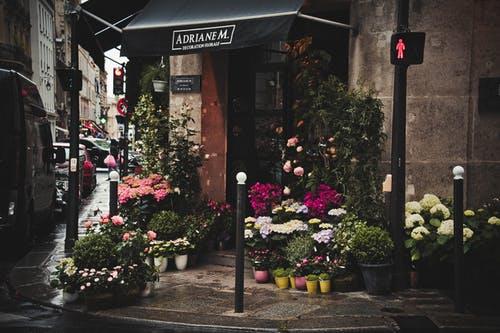 花店名字创意唯美浪漫 花店名字创意唯美浪漫
